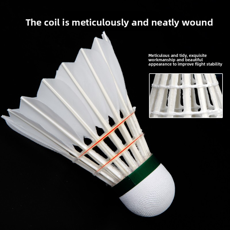 VICTOR Master 8 プロフェッショナルバドミント - Victor Shuttlecock Feather のレビューと価格